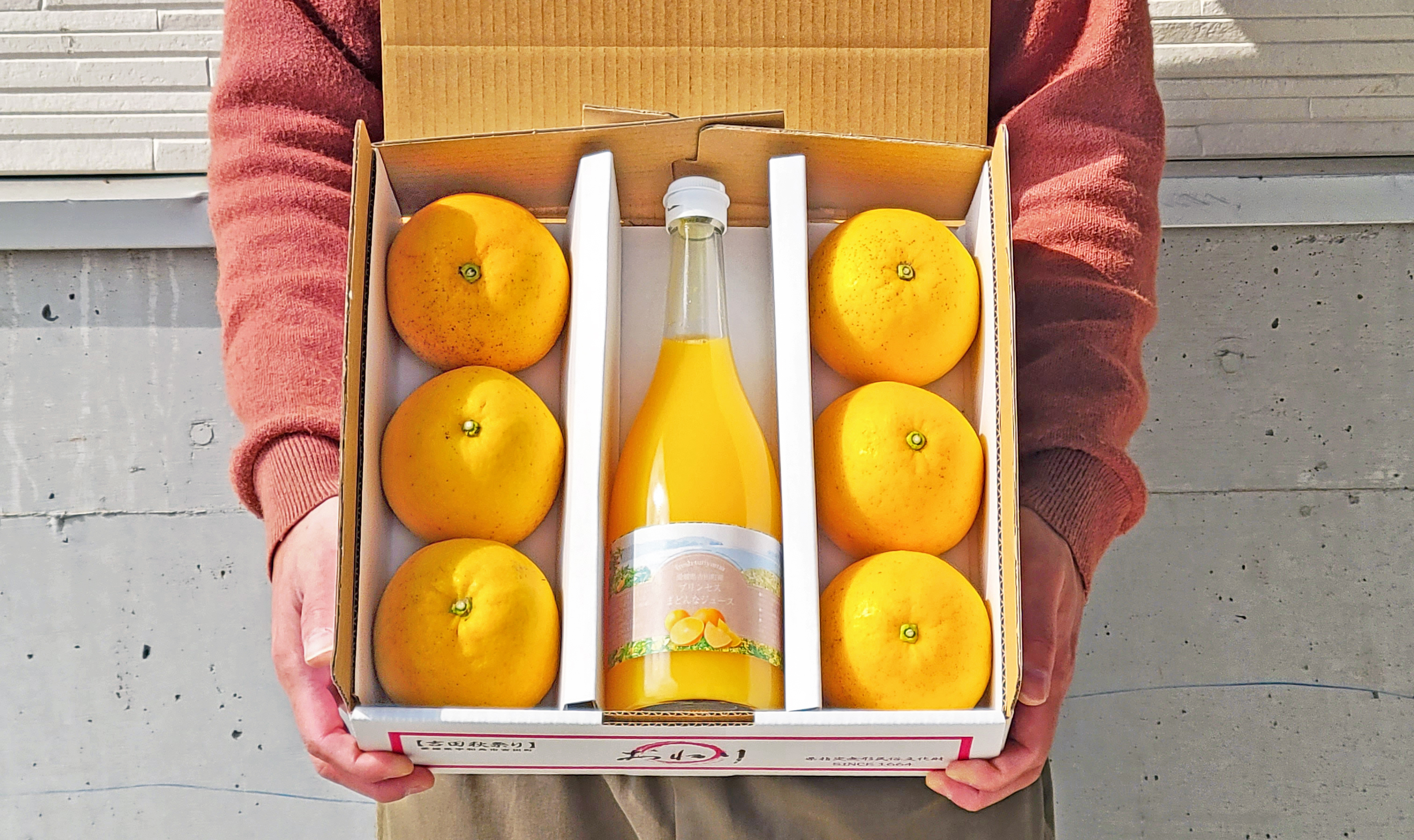 極早生吉田みかん 10kg×2箱